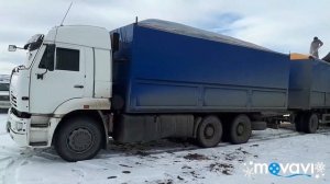 Камаз зерновоз трактор Мтз погрузка Кукурузы