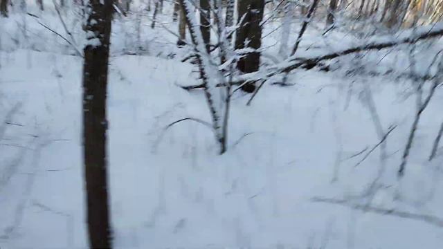 Первый кабанчик Задавленный Злодеем ! смотреть онлайн