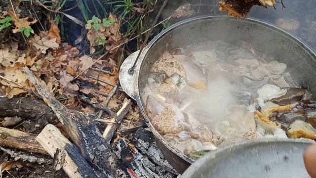 Грибо_пикник огромный лес опят и суп из белых грибов! смотреть онлайн