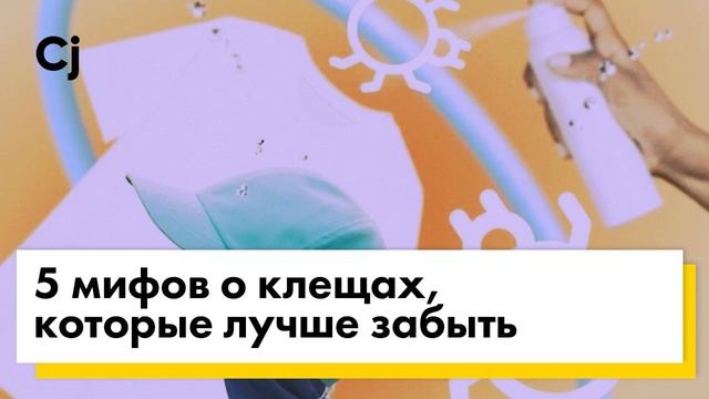 Готовимся к летнему отдыху: 5 мифов о клещах, которые лучше забыть смотреть онлайн