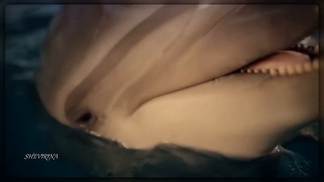 Реальна только ЛЮБОВЬ (Music:Andrey Danilko-Outro) смотреть онлайн