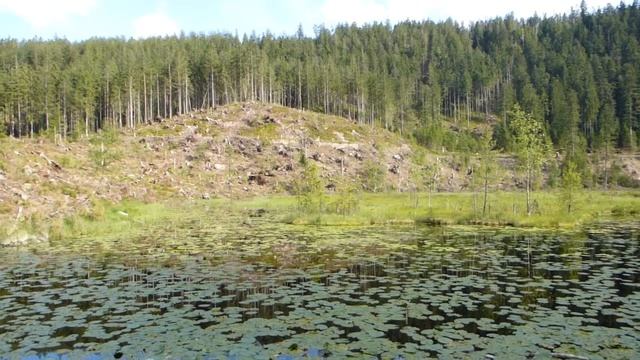 HUZENBACHERSEE - vidéo 1 : vue d'ensemble d'approche du site (2013) - смотреть онлайн