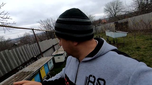 ✅Ноябрь, Рой и семья со старой племенной маткой бакфаст! Ставим сетки для зимней вентиляции!