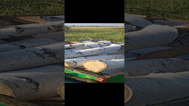 загрузились дровами