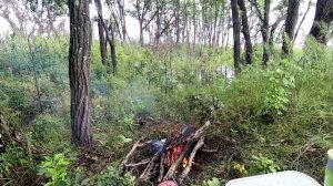 На сома. В любую воду. В любую погоду..mp4