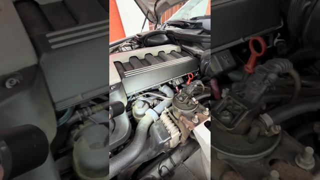 Sección DIESEL | Bmw 530 turbo diesel | revisión completa смотреть онлайн