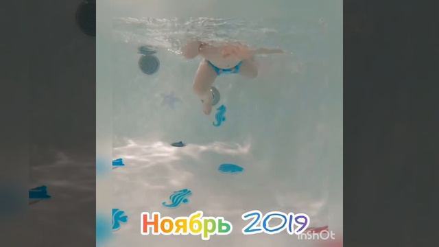 Выпуск Дельфинята #дельфинята #грудничковоеплавание смотреть онлайн