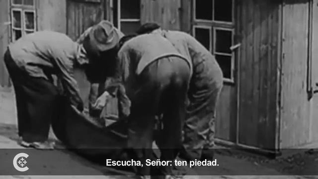 El Papa se reúne con musulmanes y judíos en Tierra Santa смотреть онлайн