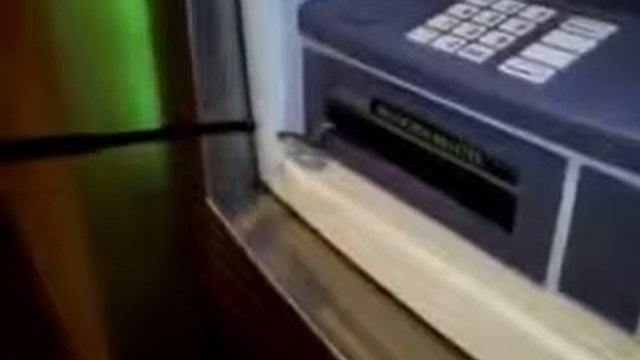 В пустых банкоматах Греции и Кипра завелись змеи