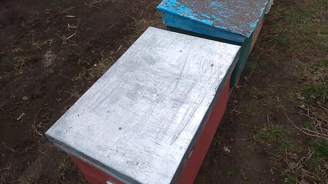 Зимовка пчел !!! Проблемные семьи пчел !!! смотреть онлайн