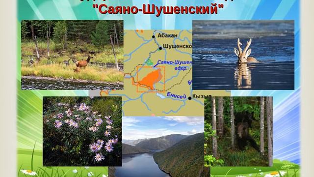 Путешествие по Красноярскому краю смотреть онлайн