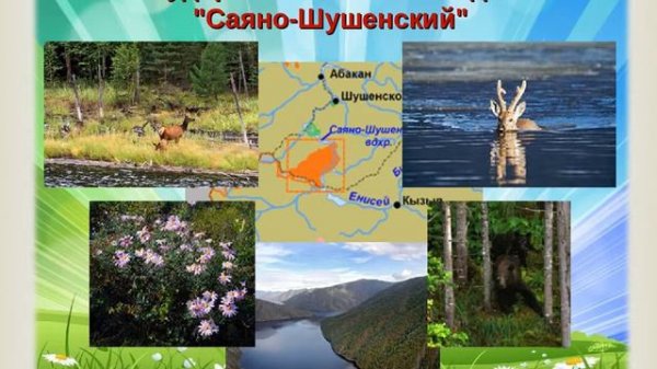 Путешествие по Красноярскому краю