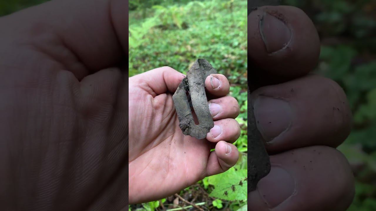 Находки были рядом !!! #леснойскобарь#2023 #лес #коп #металлоискатель #находкисметаллоискателем
