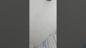 Как узнать того кто тянет энергию из вас И что с ним делать