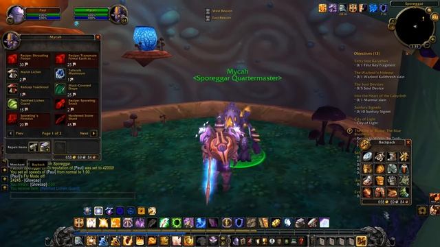 What Is The Best Class For Gold Farming In TBC Classic?
