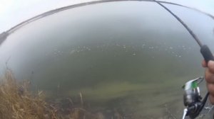 Рыбалка - Ростовская область - река Дон - Котлован