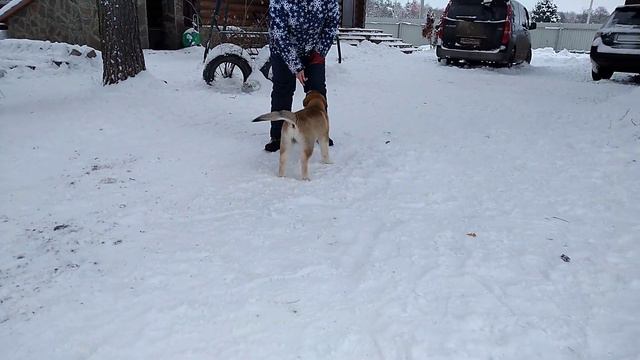 🌒 Луна 3 смотреть онлайн