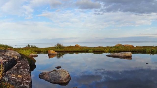 р.Мурашева-р.Гридина-Белое море ч.5 смотреть онлайн