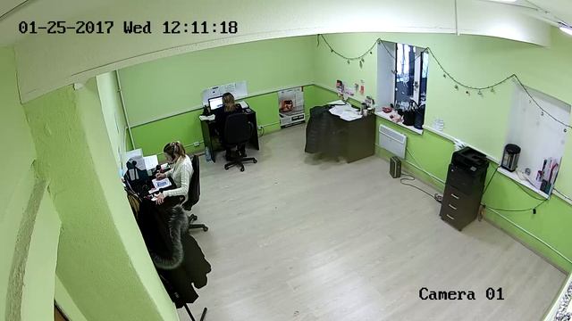 IP Камера ST-711 IP смотреть онлайн