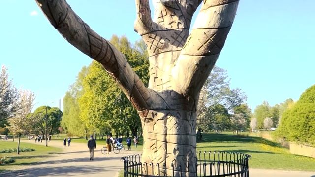 Заливка воды в аквариум. Новый аквариум. Старт аквариума. Запуск аквариума. смотреть онлайн