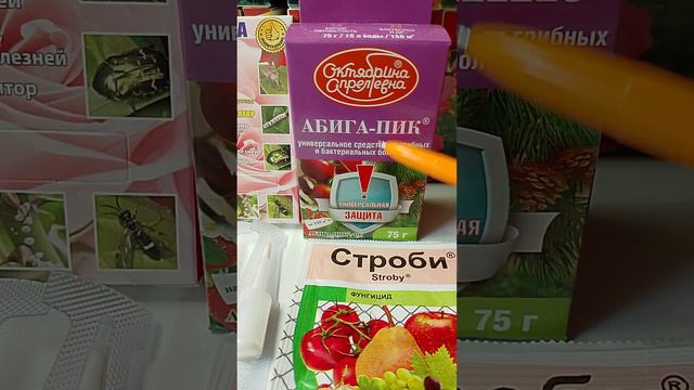 Обработка роз от ржавчины, черн. пятнистости, паутинного клеща, листовёрток и др. заболев. и вред. смотреть онлайн