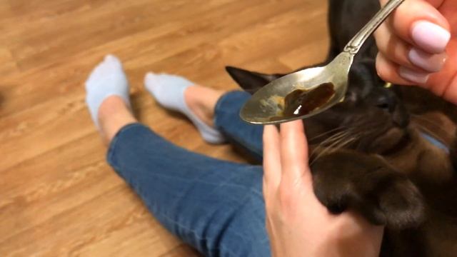 Паста для вывода шерсти для кошек cliny #пастаcliny смотреть онлайн