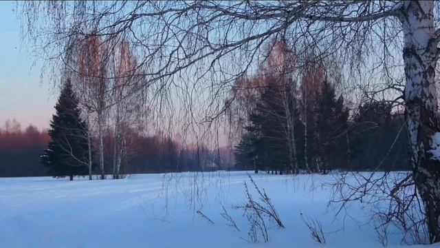 Классическая музыка -Roberto Poli - Chopin - Piano Works | Classical music смотреть онлайн