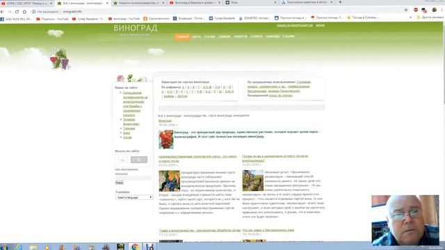 уКОРЕНЕНИЕ ЧЕРЕНКОВ ВИНОГРАДА ( ПРОДОЛЖЕНИЕ)