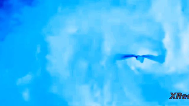 давайте придумаем этому дракону имя... смотреть онлайн