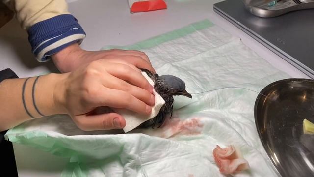 Как мы провели Затмение