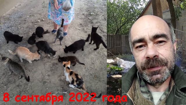 8 сентября 2022 года. Константиновка. Донецкая область. Донбасс. смотреть онлайн