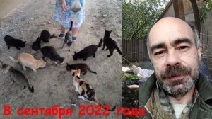 8 сентября 2022 года. Константиновка. Донецкая область. Донбасс.