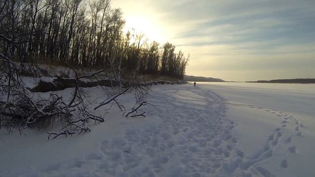 Интересный зверёк на Иртыше. Кто это? Хорёк? Ласка? смотреть онлайн