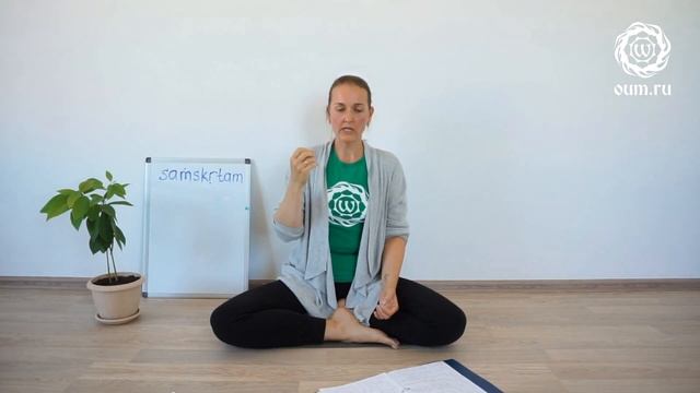 Почему санскрит не записывался? Екатерина Чумачек смотреть онлайн