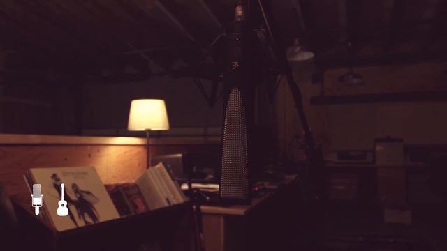 sE Electronics RNR1 Rupert Neve Ribbon Microphone | Quick & Dirty Demo смотреть онлайн