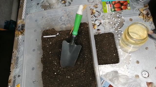 СЕЕМ ПОМИДОРЫ. ПОСЕВ С МИКОРИЗОЙ. смотреть онлайн