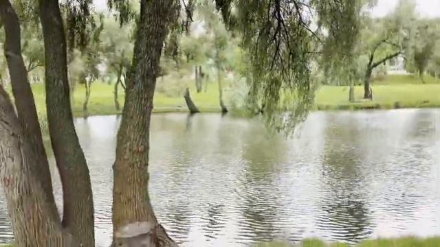 День Києва в Я ❤️ мій парк смотреть онлайн