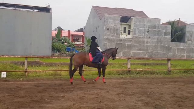 MEC miss Bum Bum смотреть онлайн
