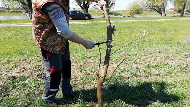Уличный тест по мативам канала Архадыр ножом Японский городовой от Ясного Сокола сталь D2 смотреть онлайн