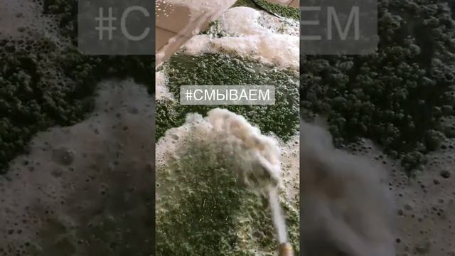 Чистка ковров Тула смотреть онлайн