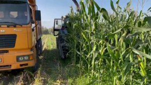 формат кукурузного силоса  Казахстан Алматы  2021