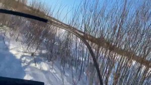 ПОГОНЯ ЗА ЛОСЯМИ НА СНЕГОХОДЕ  Тайга Атака 2 #лоси#зима#снегоход#природа