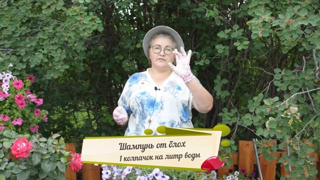 Цирковые Шоу с Трюками и Фокусами