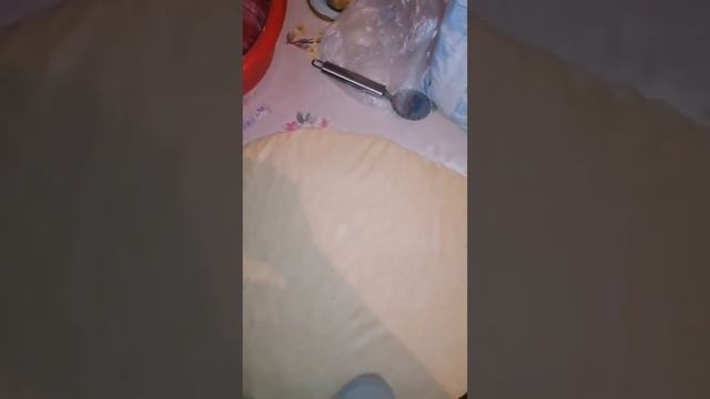 палочки солёные. ваш повар комнатный ? обнял приподнял на место поставил ?