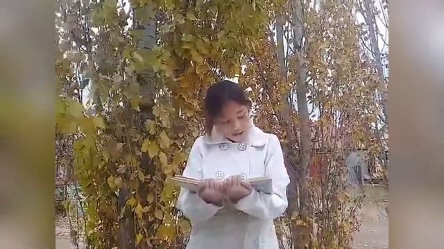 "Листопад" - читает Базарумбетова Алина с. Нижняя Павловка смотреть онлайн
