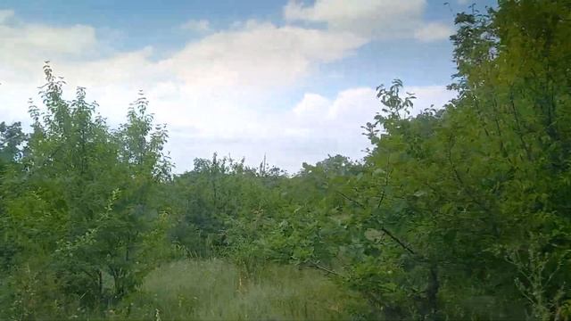 30.06.2023г Дагестан Каякентский район с.Алходжакент вершины гор,экскурсия,родники, скалы,красота! смотреть онлайн