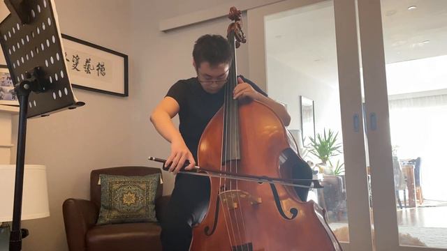 Colin En Kang - Double Bass - Category F - The Violin Doc