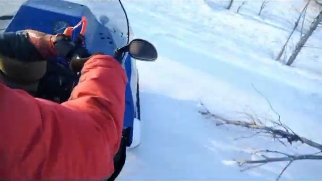 на снегоходе по лесу и степи смотреть онлайн