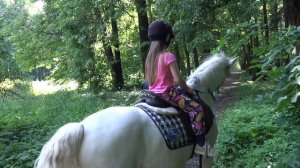 Песня для детей про лошадку. Веселая детская песенка