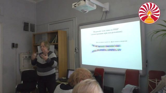 Принцип метода ПЦР (полимеразная цепная рекация), часть 1 (д.б.н. Ю.М. Романова) смотреть онлайн